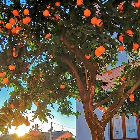 L'arancio